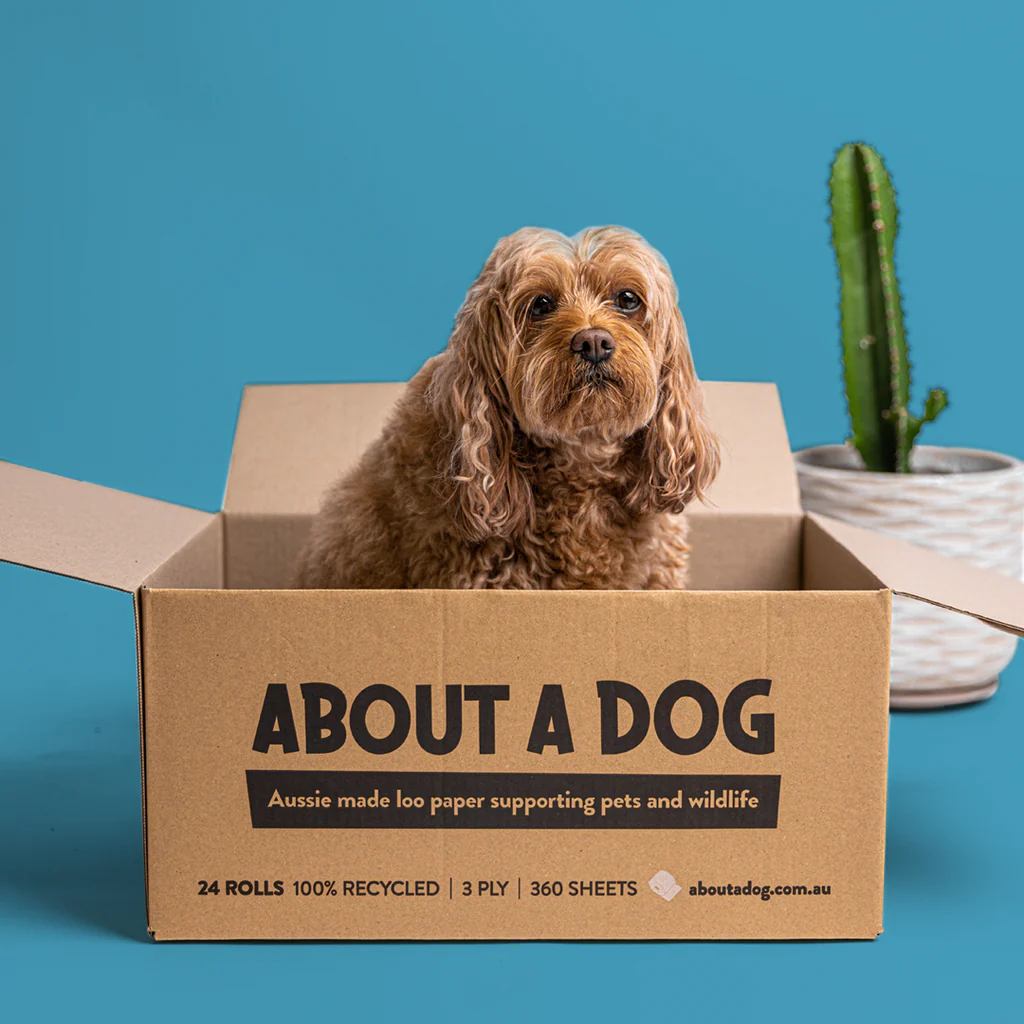About A Dog 100% Recycled Paper Towel, Double Length Paper Towel Rolls - Image 2