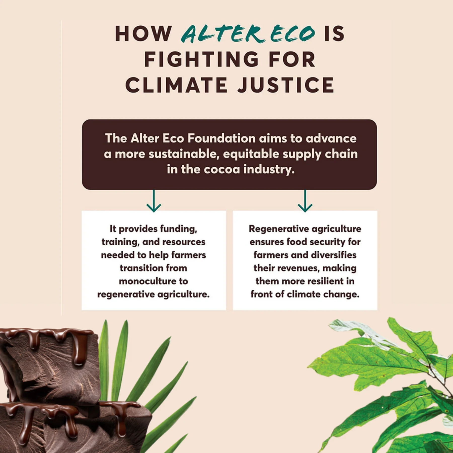 Alter Eco Chocolate 80g, Dark Salted Brown Butter Flavour 70% Cacao, Certified Organic - Image 4