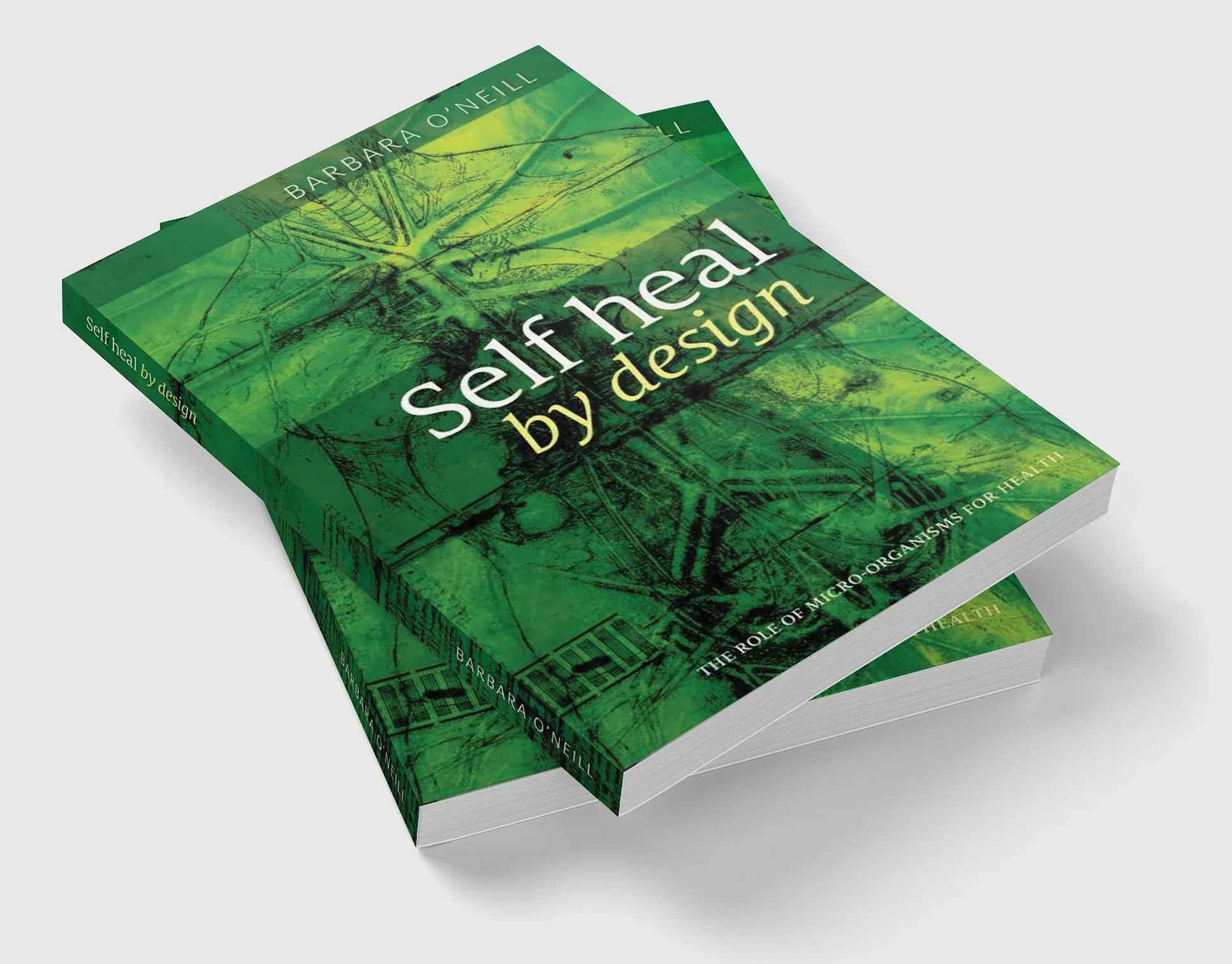 Barbara O'neill Self Heal By Design Book, Revised Edition - Image 3