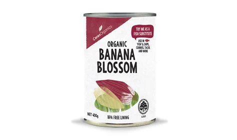 Ceres Organics Certified Organic Banana Blossom 400g, Can Is BPA Free Lining