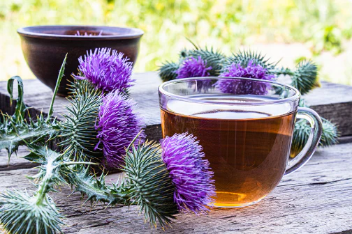 Buddha Teas Organic Herbal Tea 18 Tea Bags, Milk Thistle Tea; A Herbal Tonic To Detox & Restore - Image 2