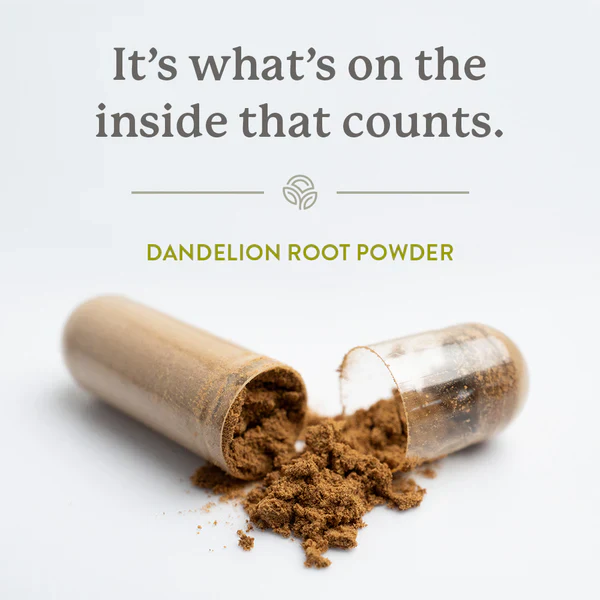 Nature's Sunshine Dandelion Root 460mg 100 Hard Capsules, Enhances Liver Health - Image 3