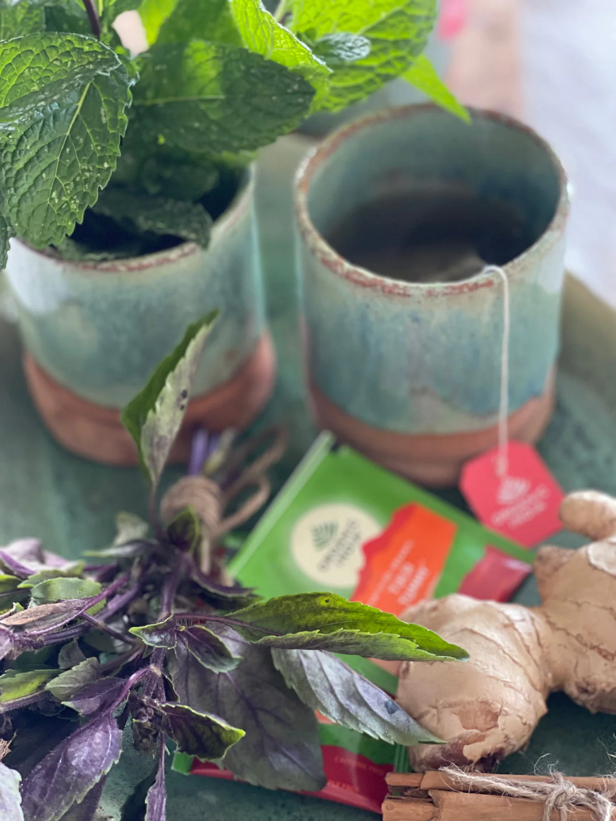 Organic India Wellness Tea Tulsi True Wellness Collection, 25 Herbal Tea Bags; Certified Organic - Image 2