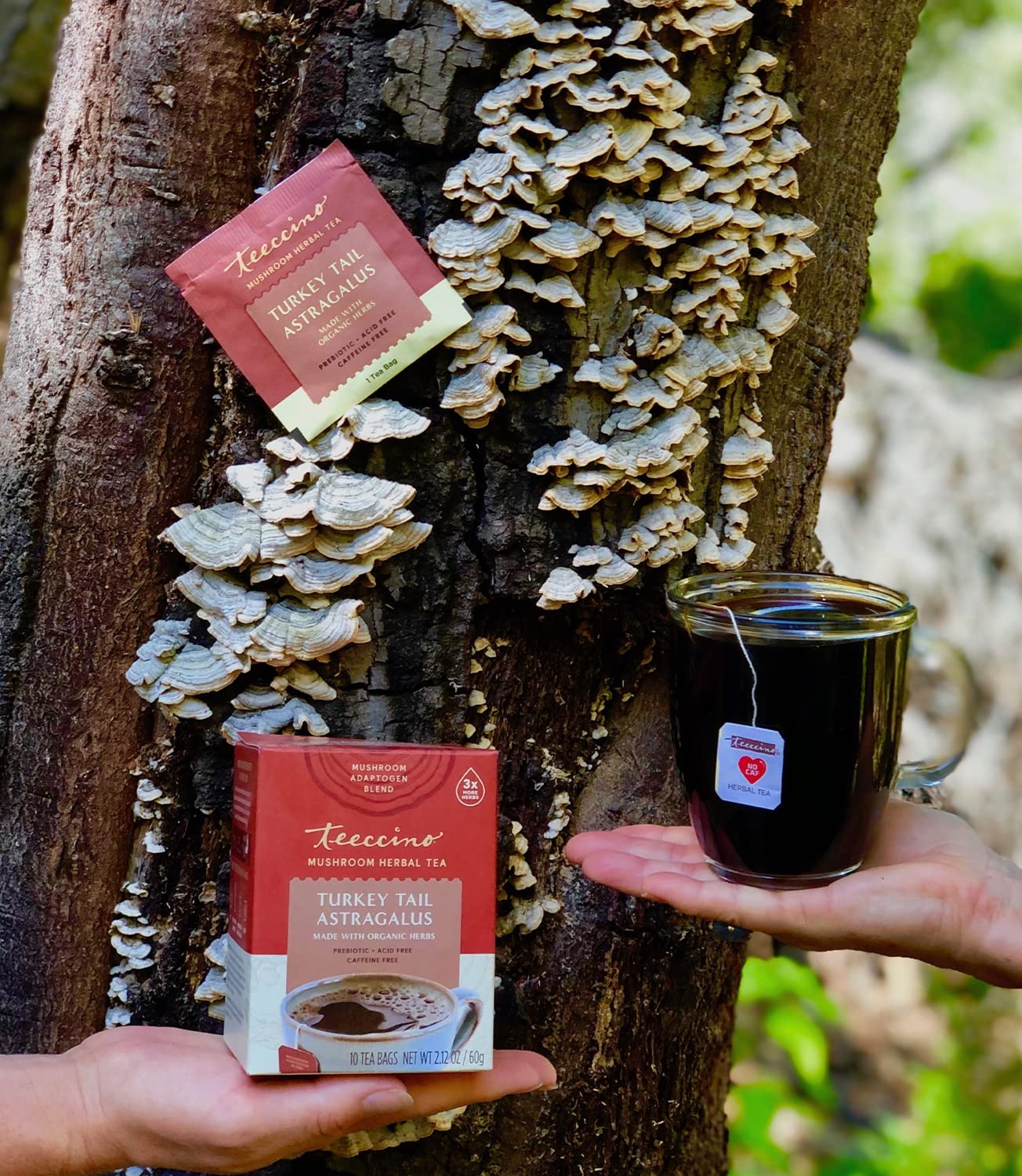 Teeccino Mushroom Herbal Tea 10 Tea Bags, Turkey Tail & Astragalus Caffeine-Free - Image 2