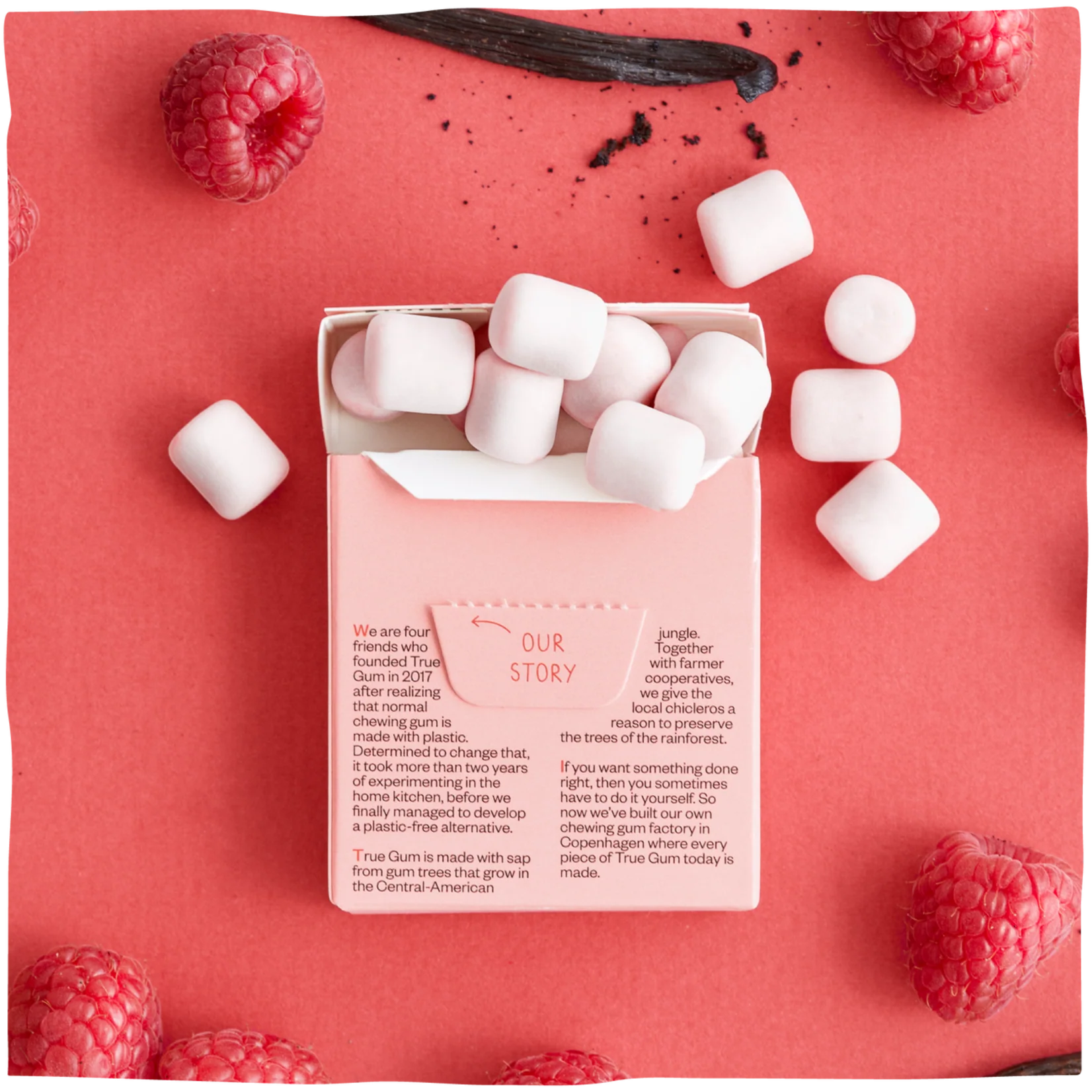 True Gum Sugar Free Gum Single Pack (21g) Or A Box Of 24, Raspberry & Vanilla Flavour Plastic Free Packaging