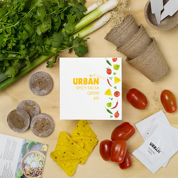 Urban Greens Grow Kit 10x10cm, Spicy Salsa - Image 3