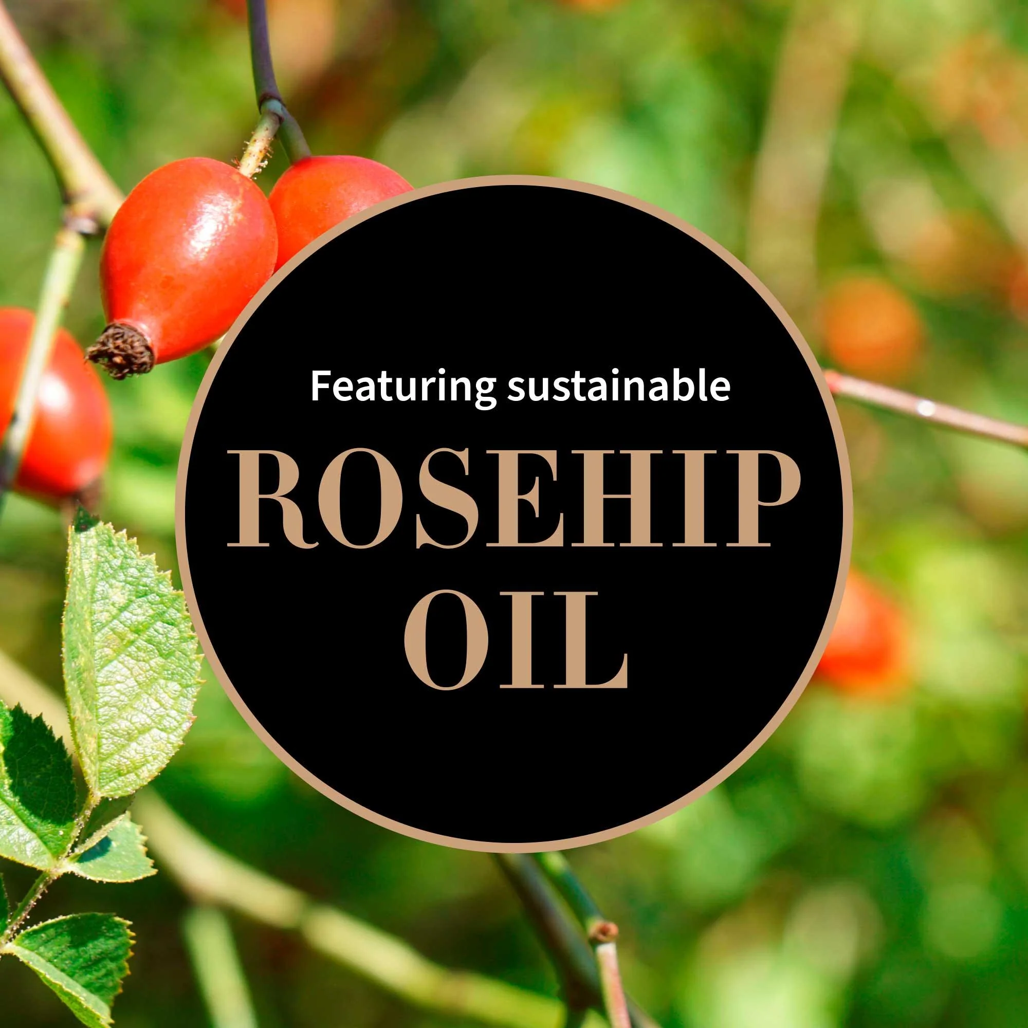 Antipodes Vanilla Pod Hydrating Day Cream 60mL, With Rosehip Oil & Manuka Honey - Image 4