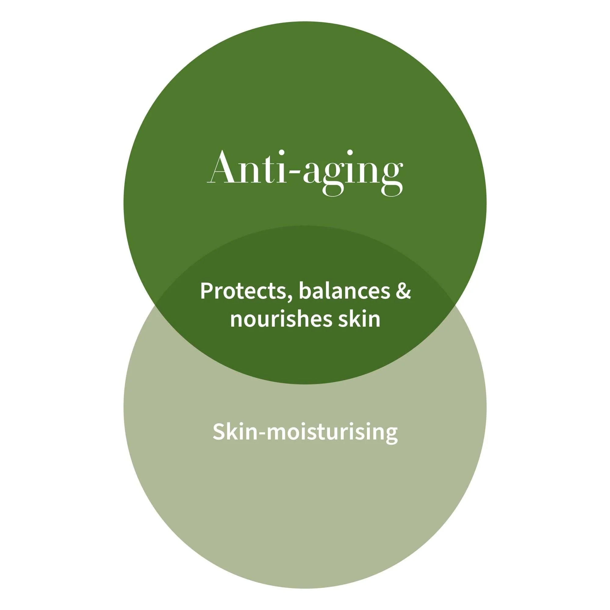 Antipodes Vanilla Pod Hydrating Day Cream 60mL, With Rosehip Oil & Manuka Honey - Image 5