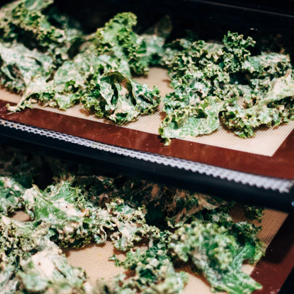 Dehydrated Kale Chips, Cheesy Or Spicy - Image 3