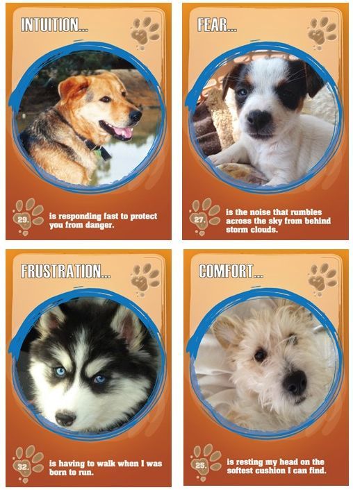 Dog Guidance Cards PAWS TO REFLECT, By Geraldine Teggelove - Image 3