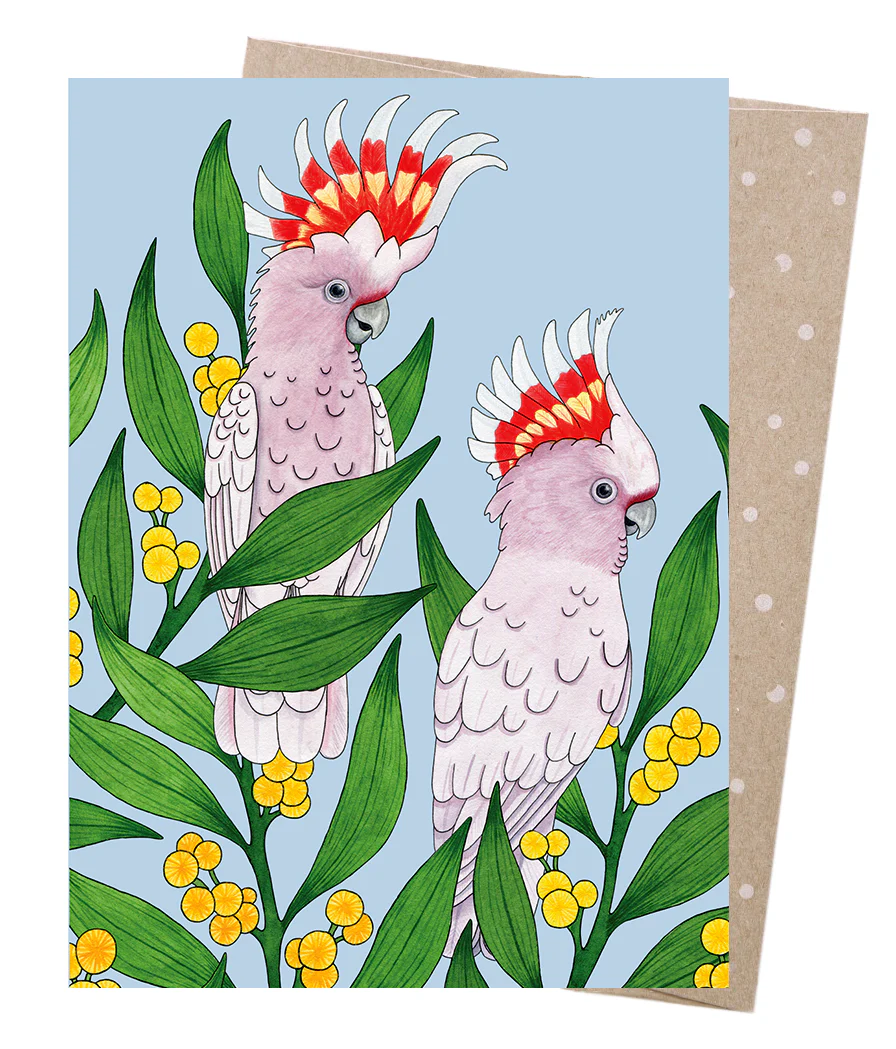 Earth Greetings Major Mitchell's Perch Card, Negin Maddock Collection (Includes One Card & One Kraft Envelope)