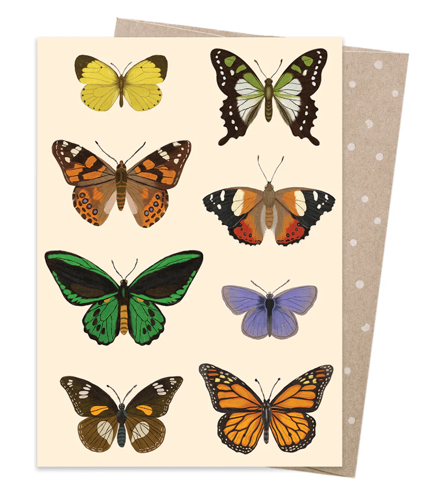 Earth Greetings Native Flutter Card, Negin Maddock Collection (Includes One Card & One Kraft Envelope)