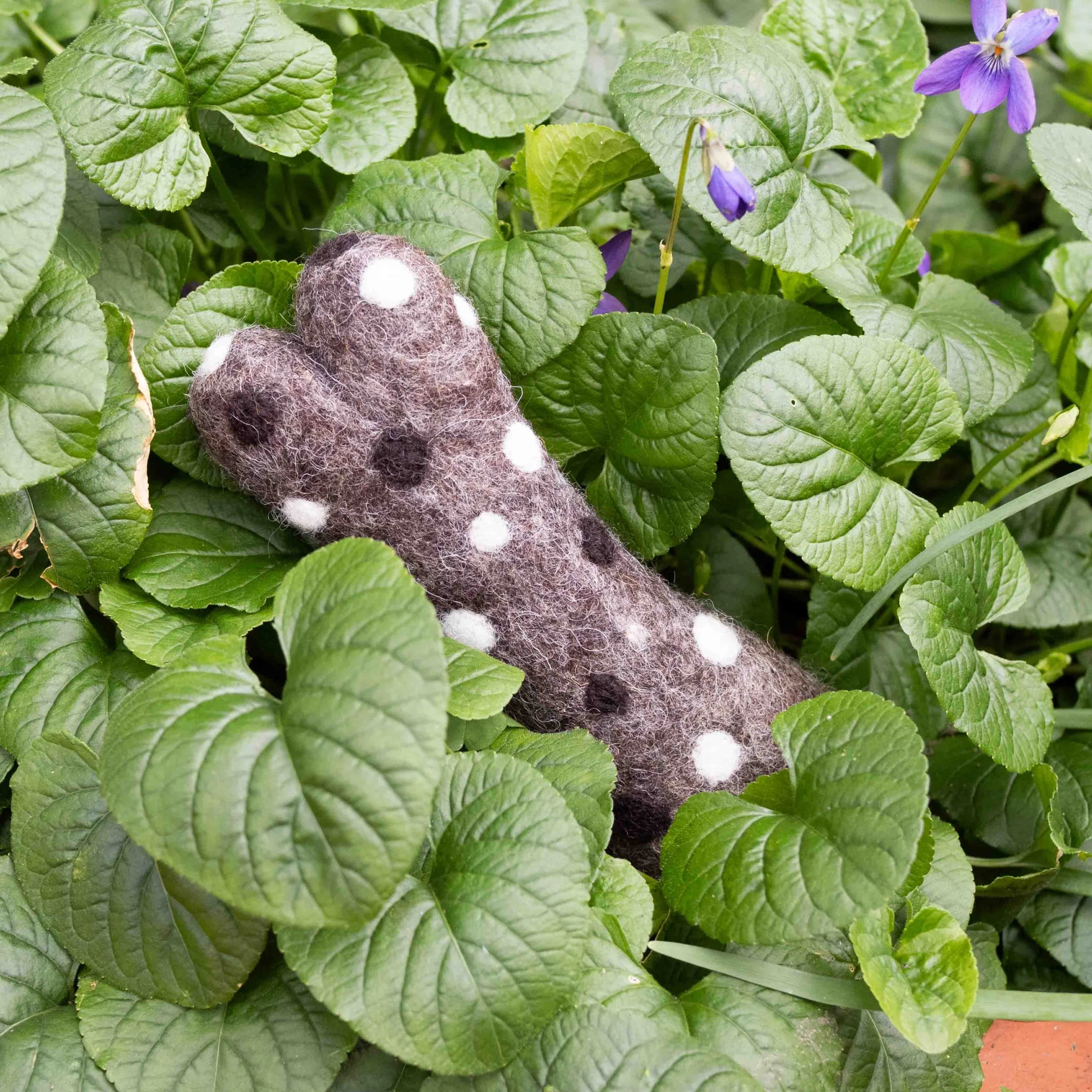 Eco Max Chew & Play Small Wool Toy, Please Select Your Pattern - Image 6