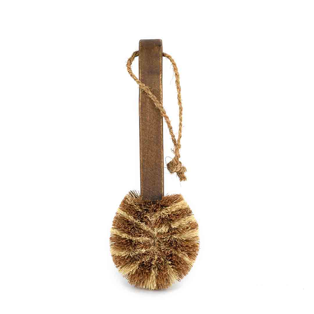 Eco Max Dish Brush Premium, 100% Natural & Plastic Free - Image 2