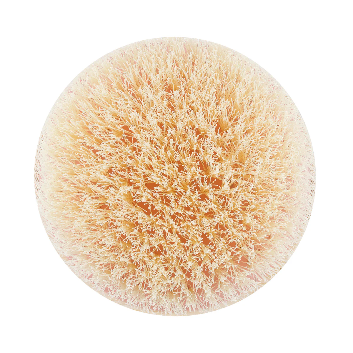 Eco Tools Dry Brush With Bamboo Handle, Exfoliating & Smoothing - Image 3
