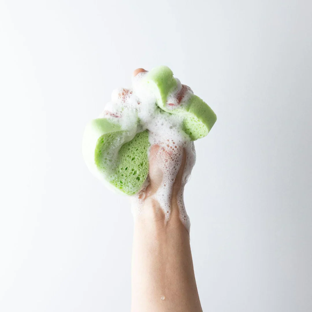 Eco Turtles Cleaning; Multi Purpose Plant Cellulose Sponge, 100% Biodegradable & No Plastic