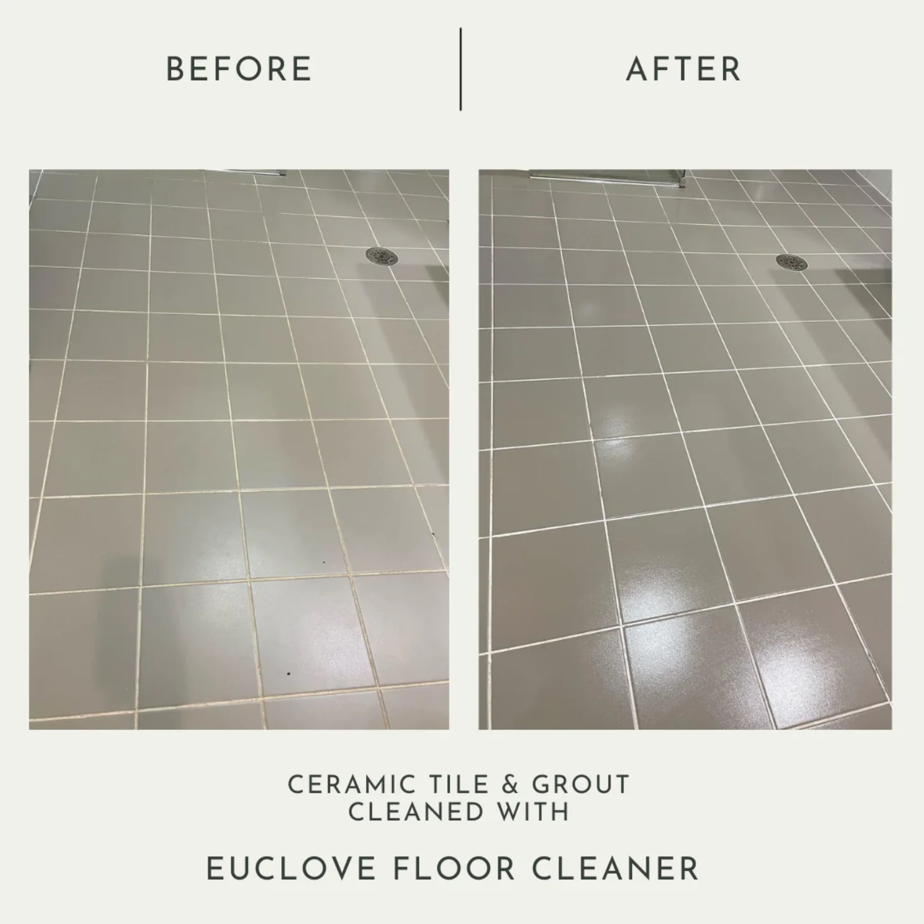 Euclove Floor Cleaner 50ml, 500ml or 1L - Image 4