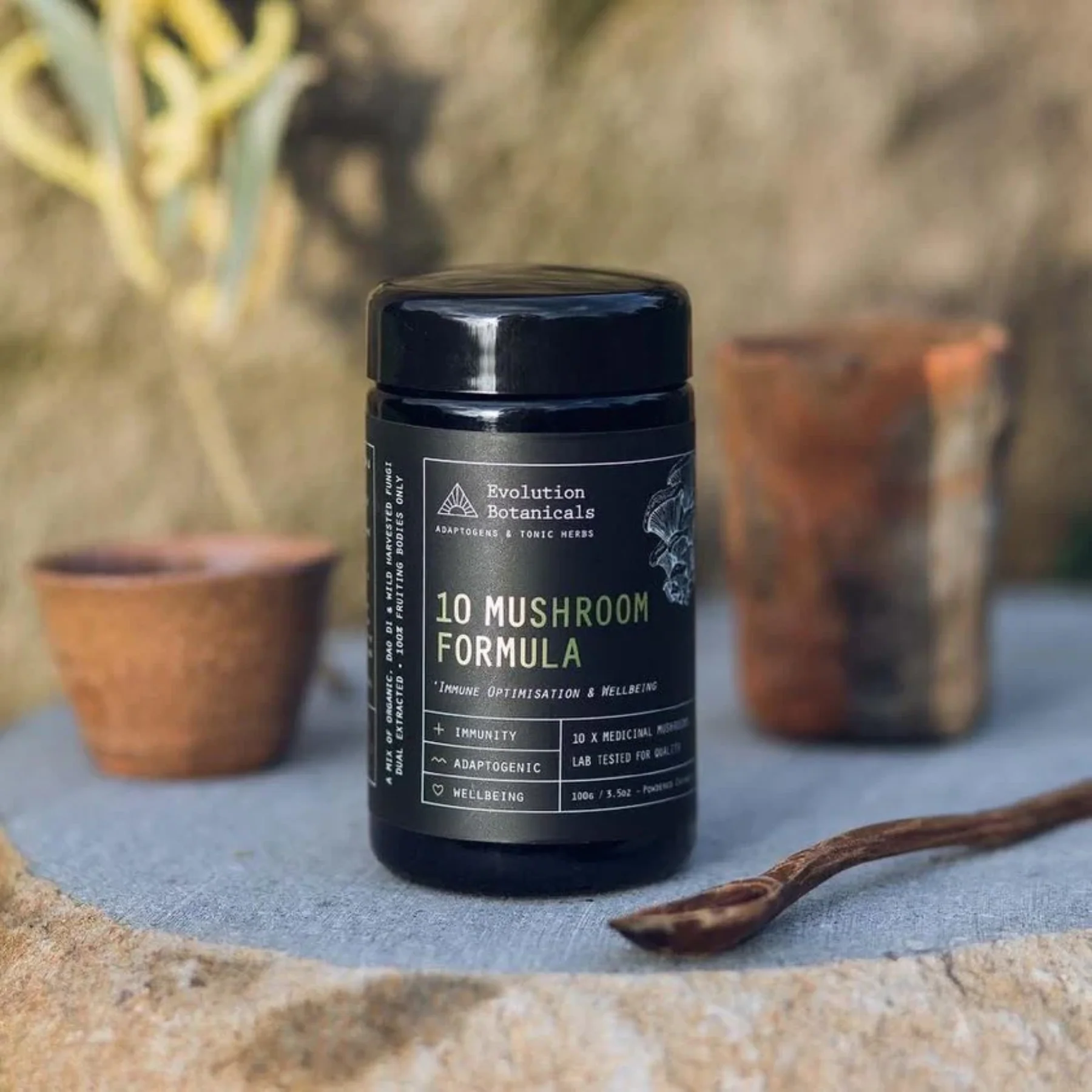 Evolution Botanicals Organic 10 Mushroom Formula 100g, Optimise Wellbeing - Image 3