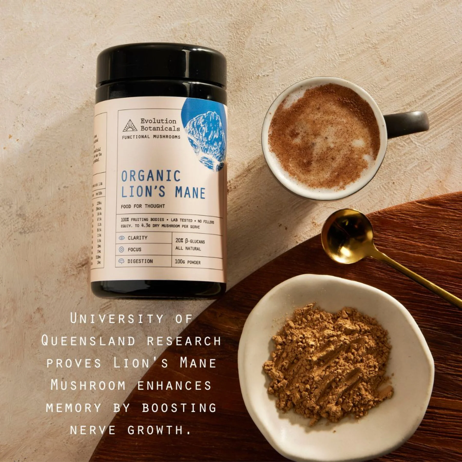 Evolution Botanicals Organic Lion's Mane Extract 100g, Cognitive Performance - Image 3
