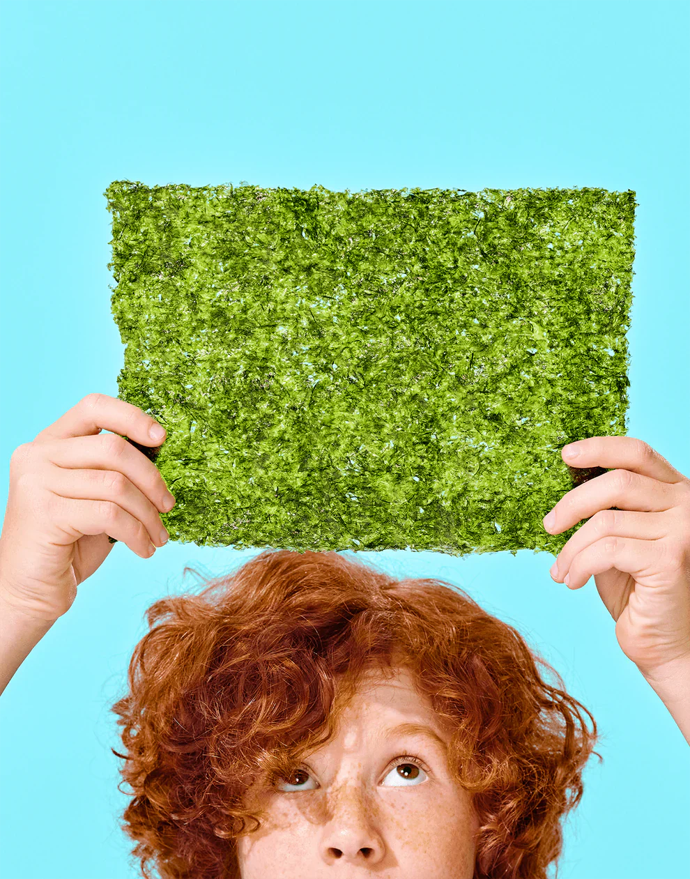 Gimme Organic Roasted Seaweed BIG Sheets 6Pack, Sea Salt & Avocado Oil - Image 2