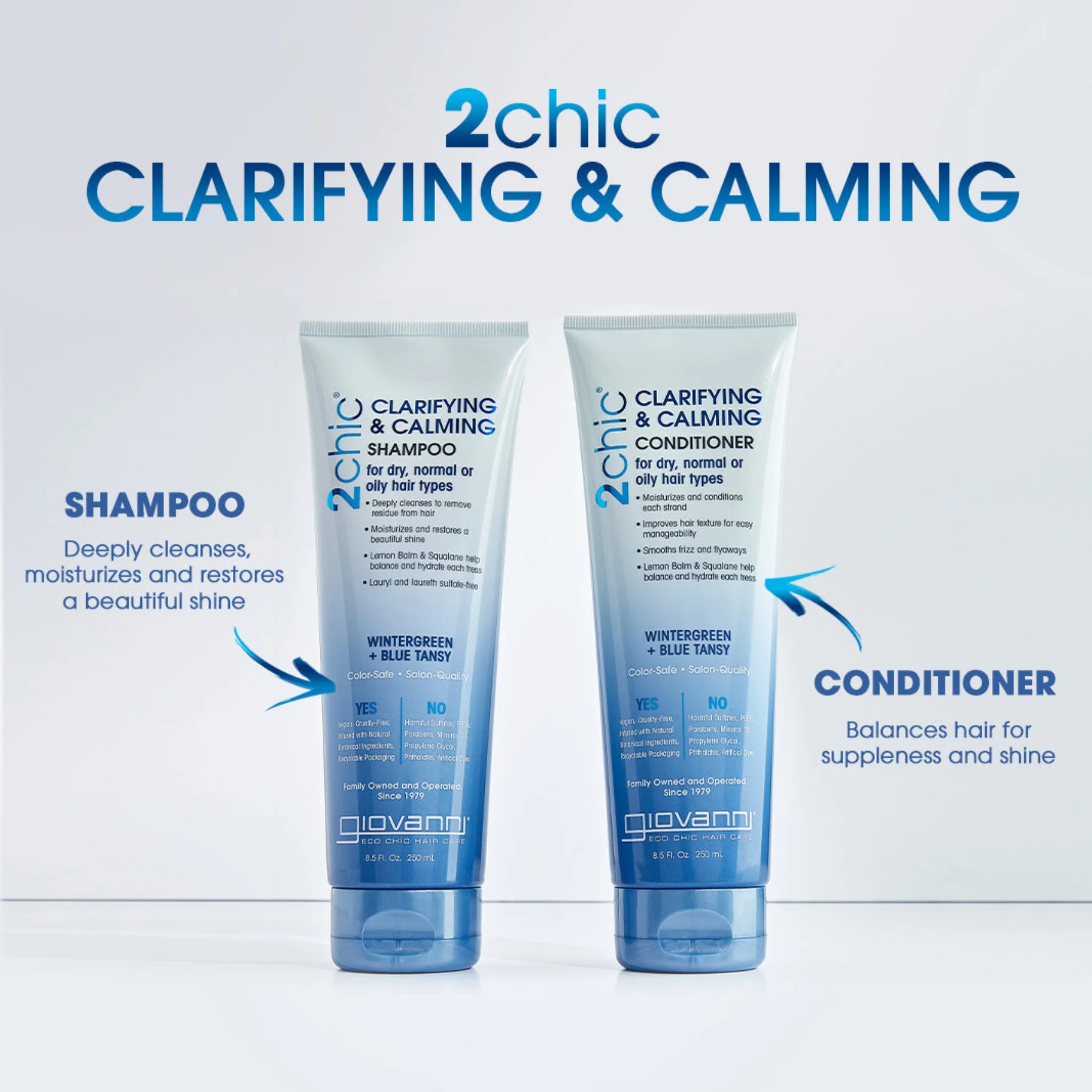 Giovanni 2Chic Clarifying & Calming Conditioner 250mL, Balances Hair for Suppleness & Shine - Image 2