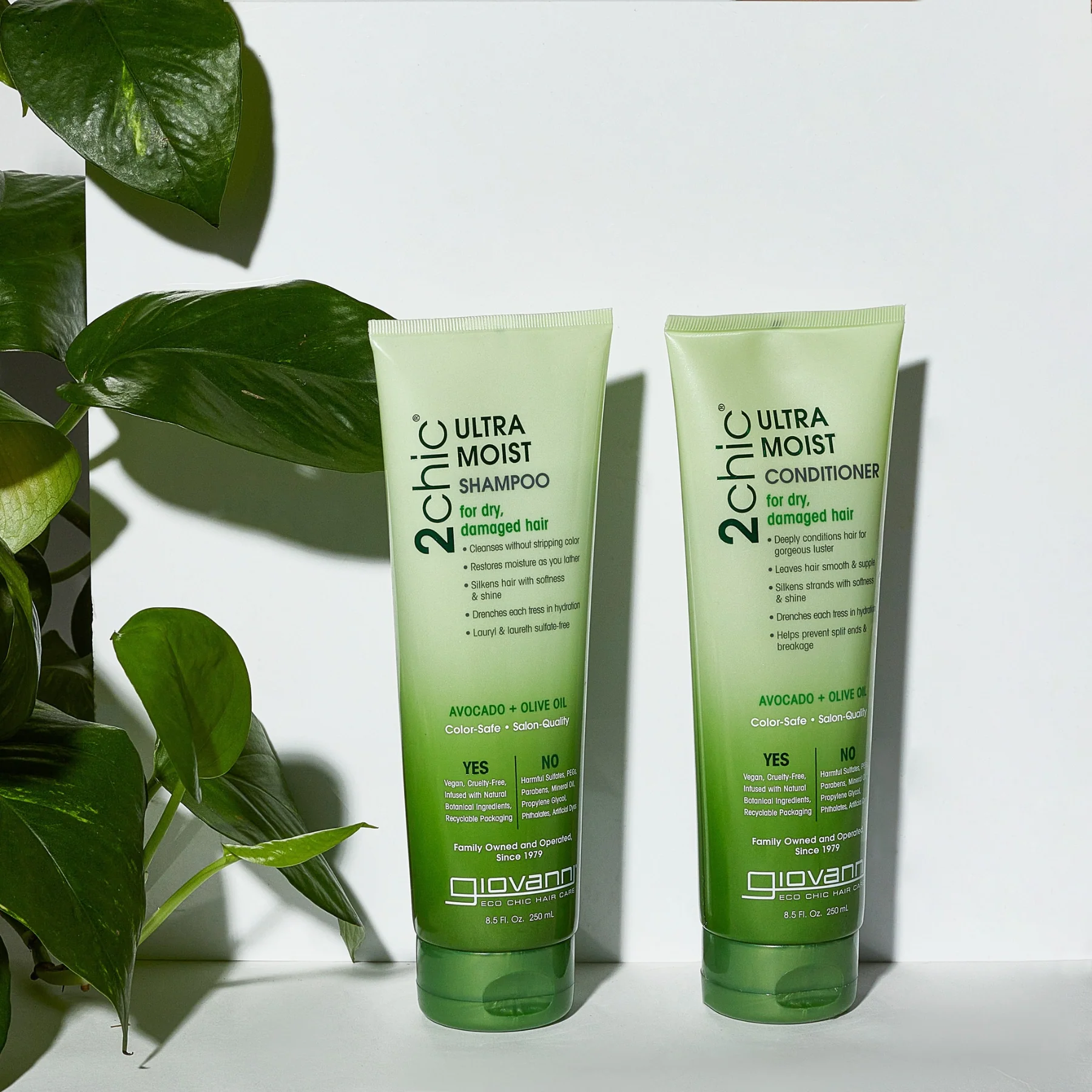 Giovanni 2Chic Ultra Moist Conditioner 250ml, For Dry & Damaged Hair