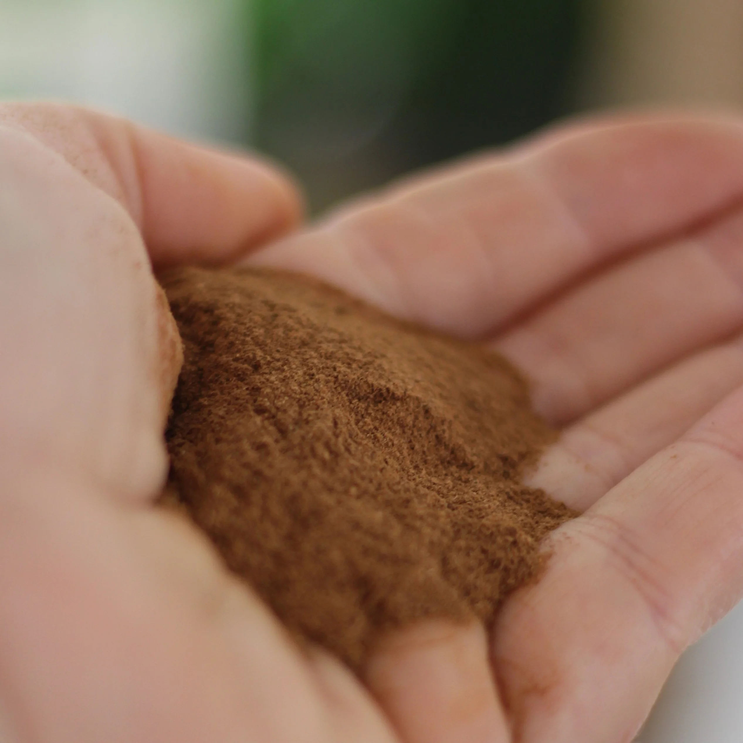Gourmet Organic Cinnamon Ground 30g, Certified Organic - Image 2