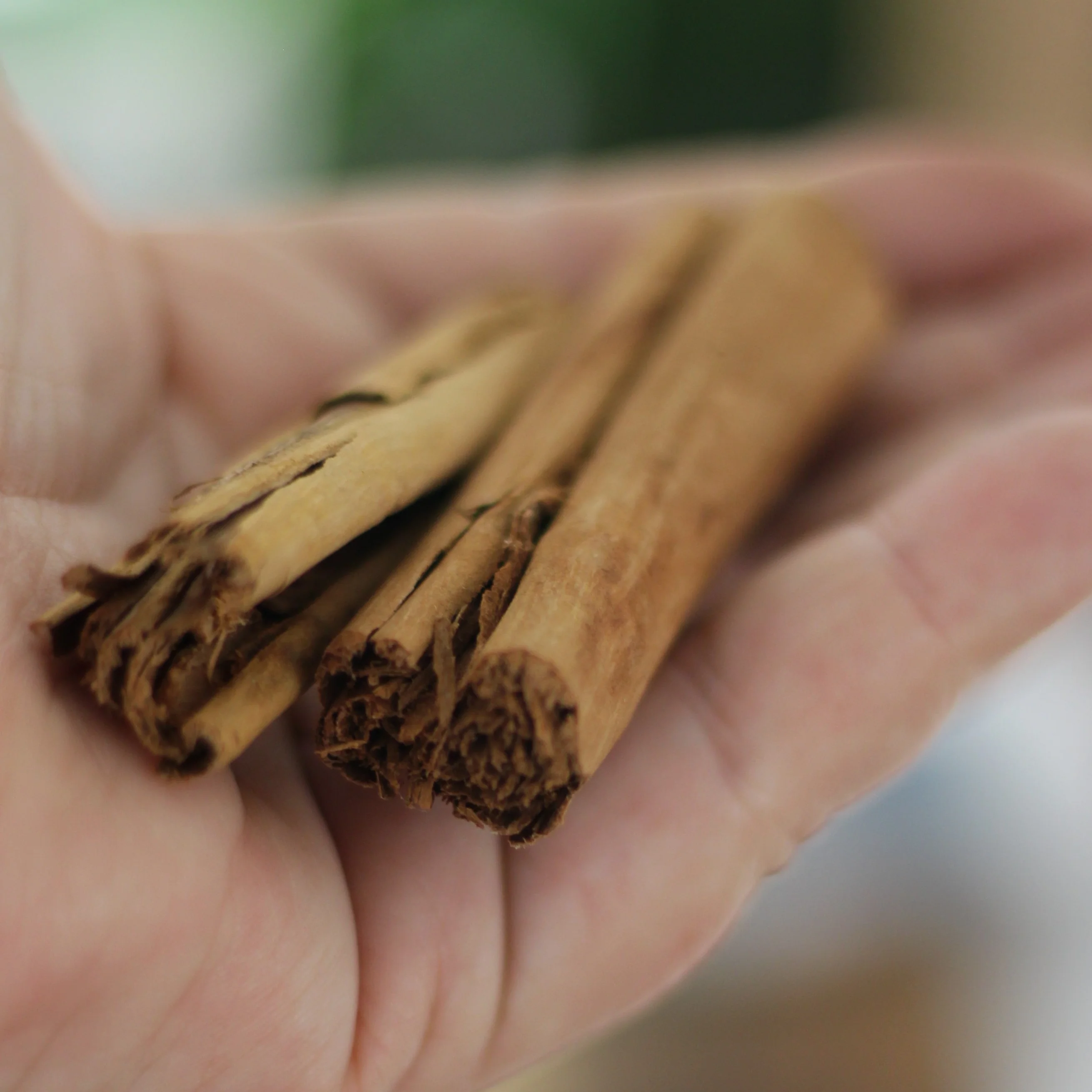 Gourmet Organic Cinnamon Quills 20g, Certified Organic - Image 3