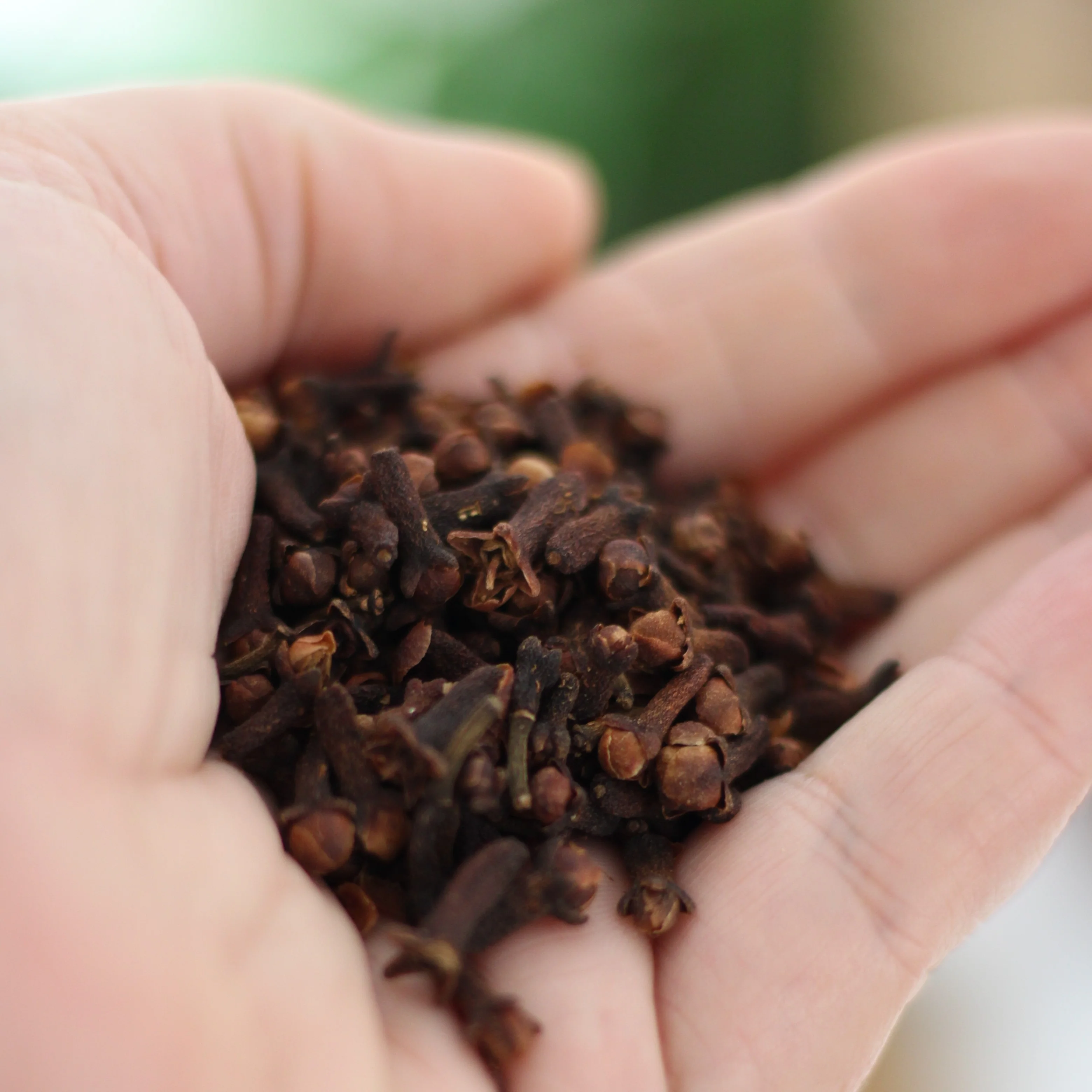 Gourmet Organic Cloves Whole 30g, Certified Organic - Image 3