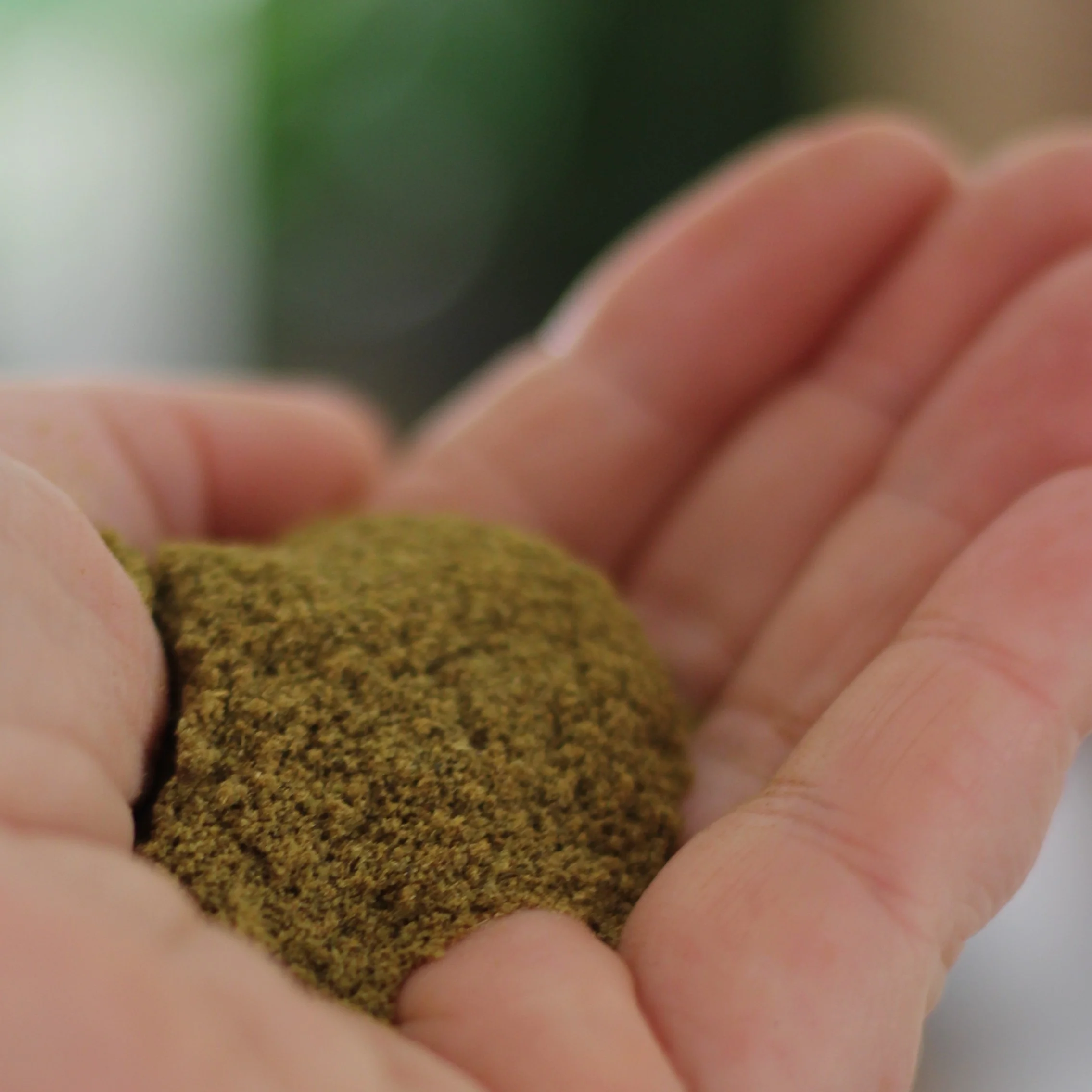 Gourmet Organic Cumin Ground 30g, Certified Organic - Image 3