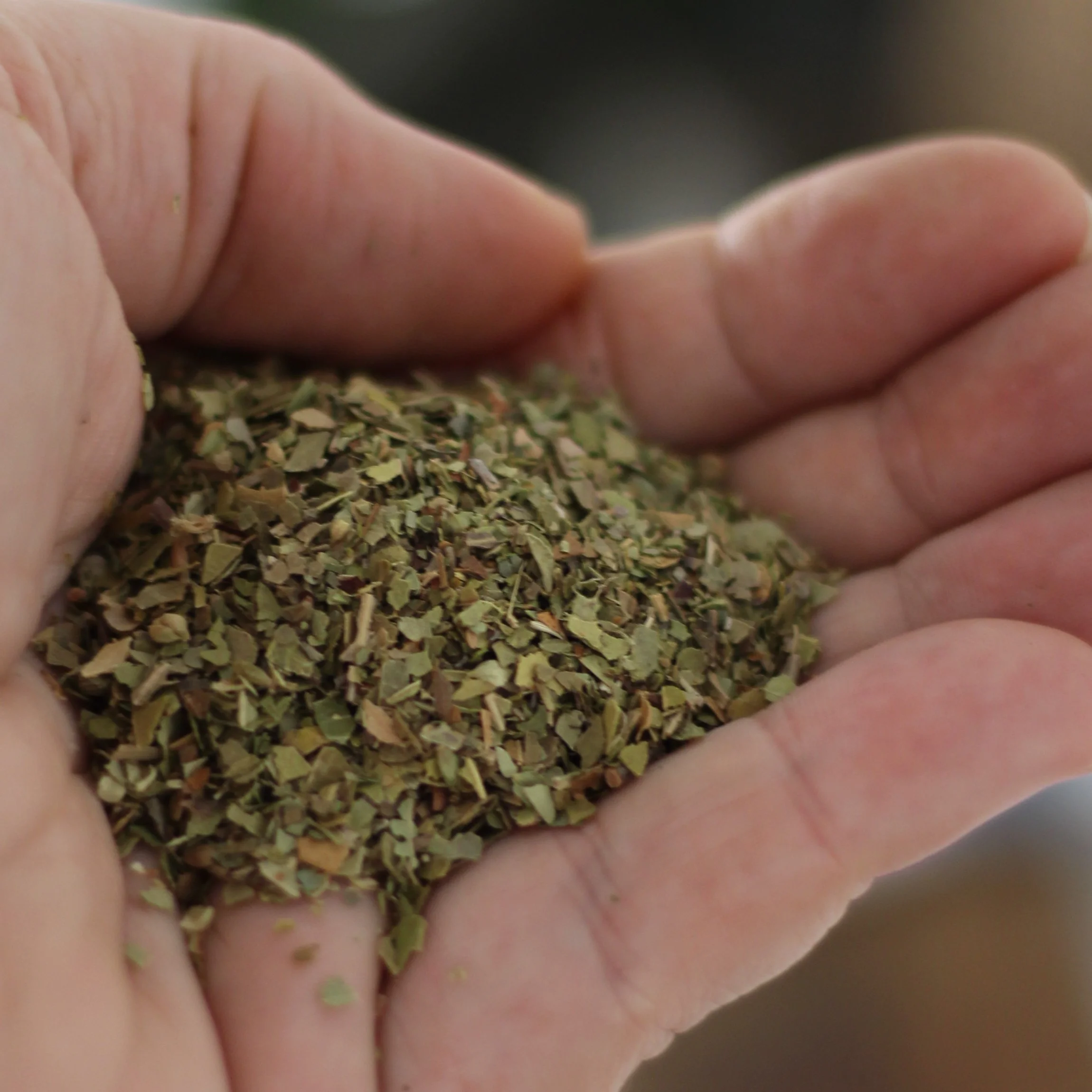 Gourmet Organic Certified Organic Oregano 10g, Perfect For Pizza Night - Image 2