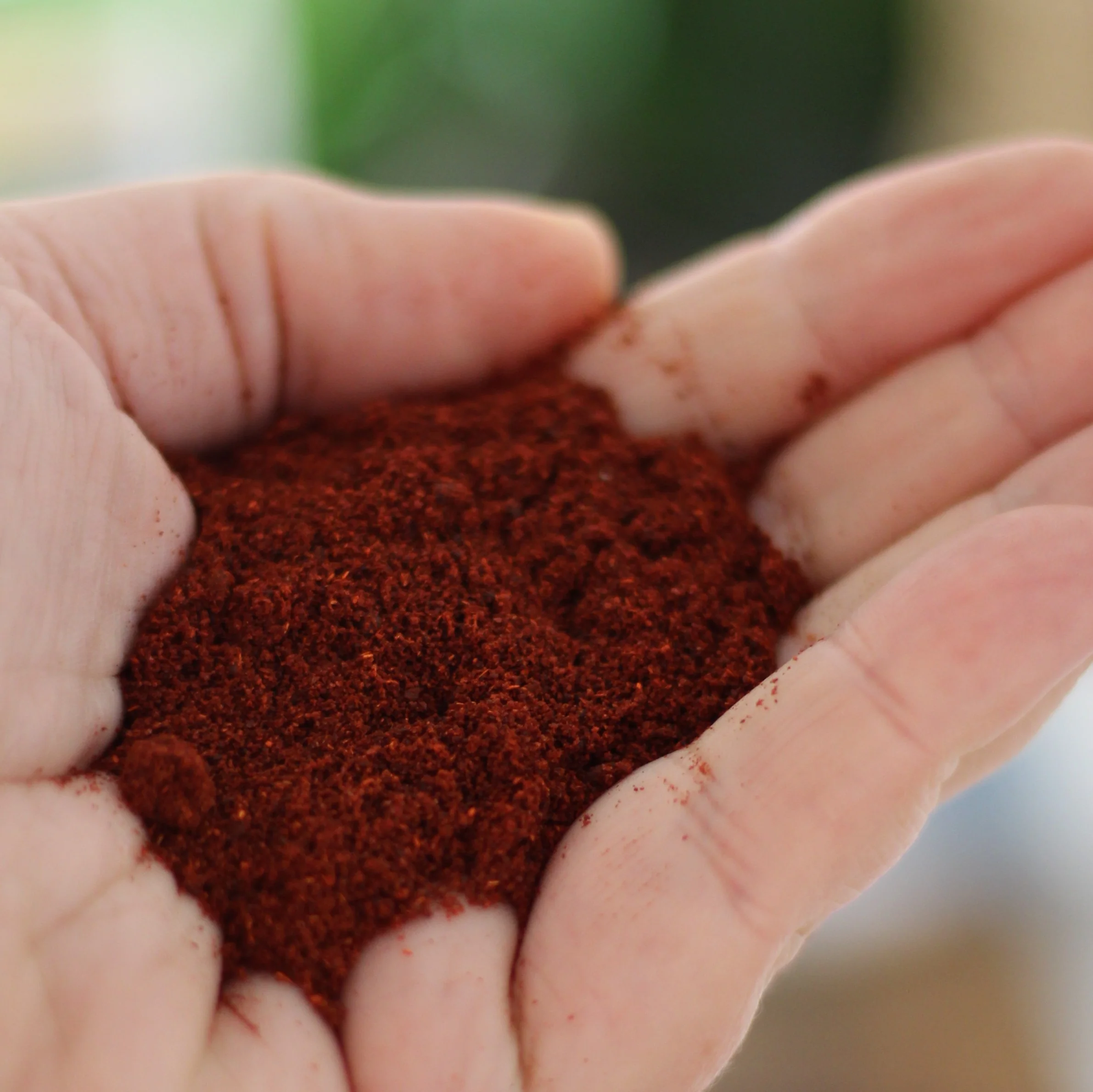 Gourmet Organic Paprika Smoked 30g, Certified Organic - Image 3