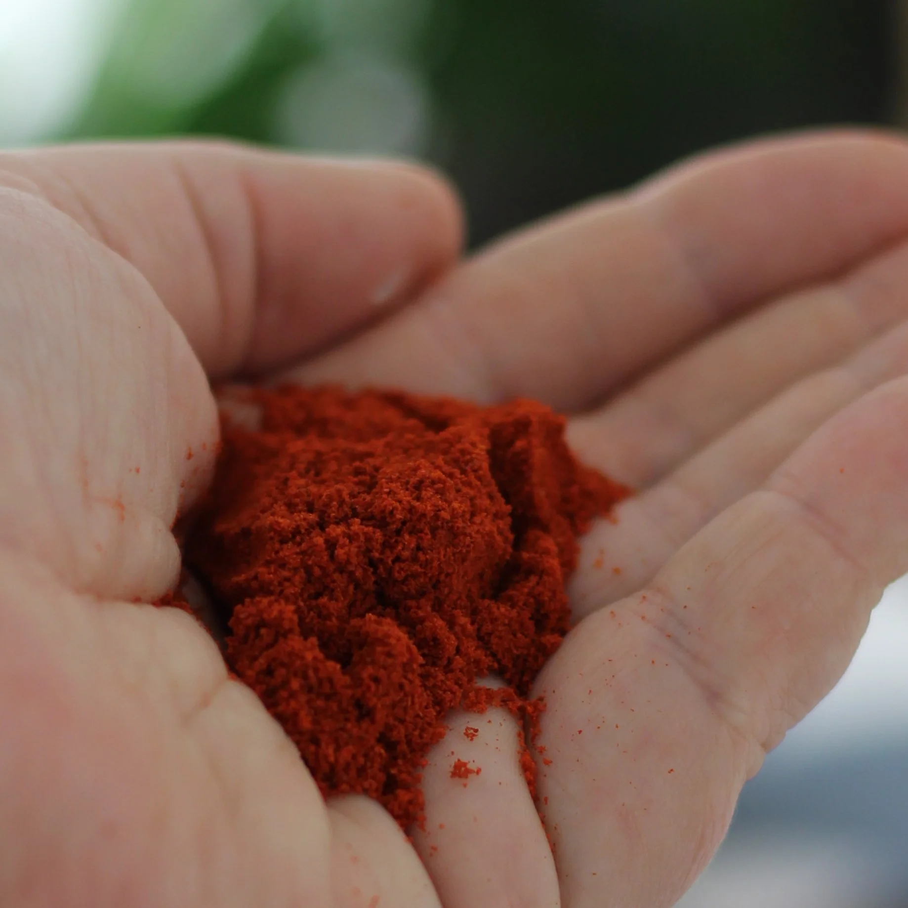 Gourmet Organic Certified Organic Paprika Sweet 30g - Image 3