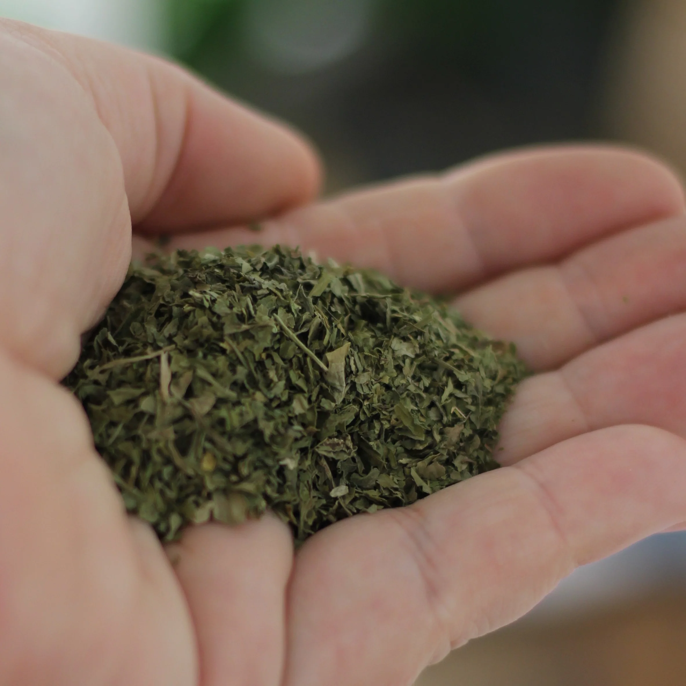 Gourmet Organic Parsley 10g, Certified Organic - Image 3