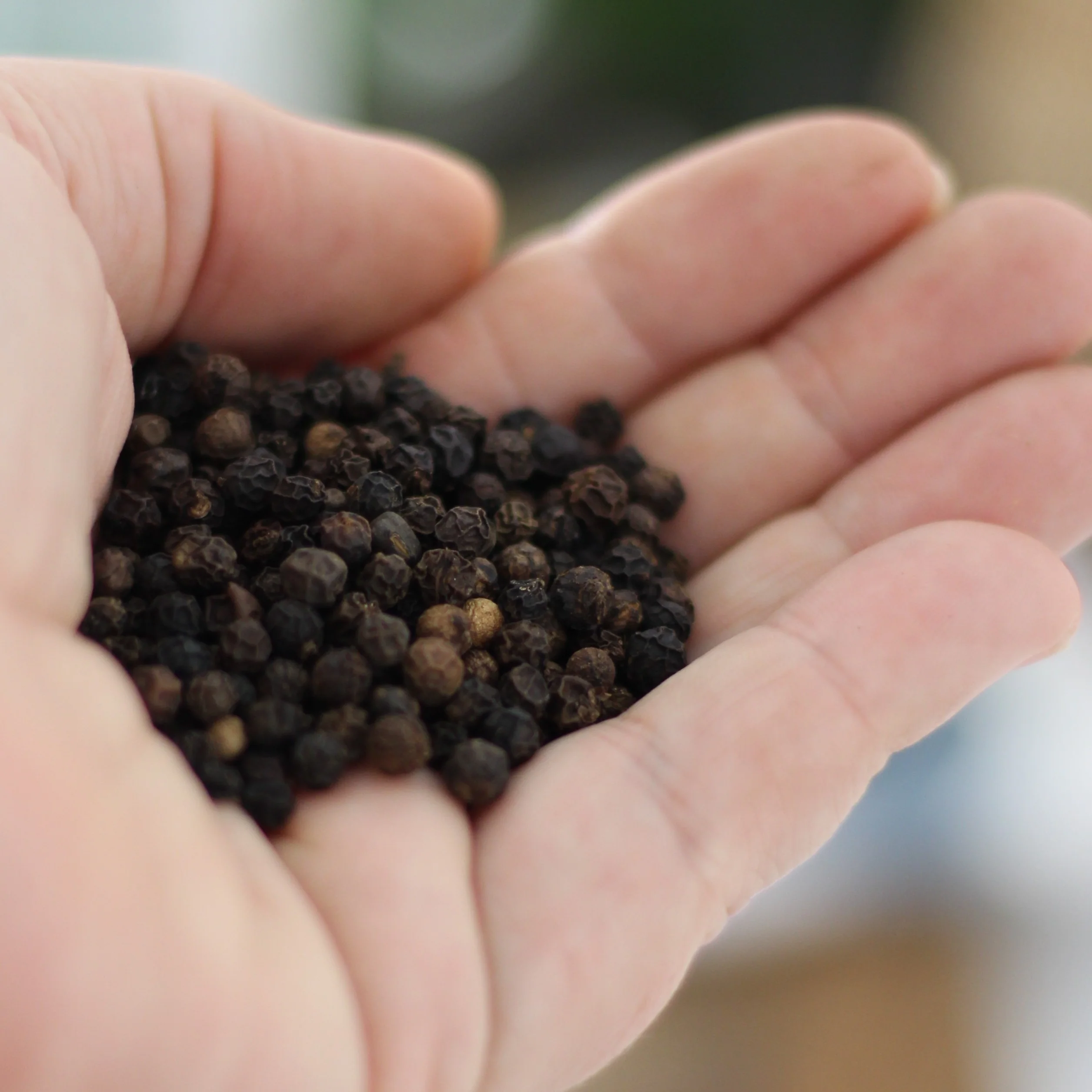 Gourmet Organic Certified Organic Pepper Black Whole 40g - Image 3