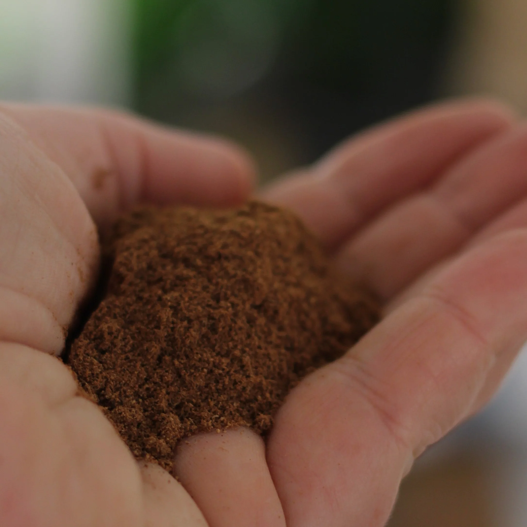 Gourmet Organic Spice Mix 30g, Certified Organic - Image 3