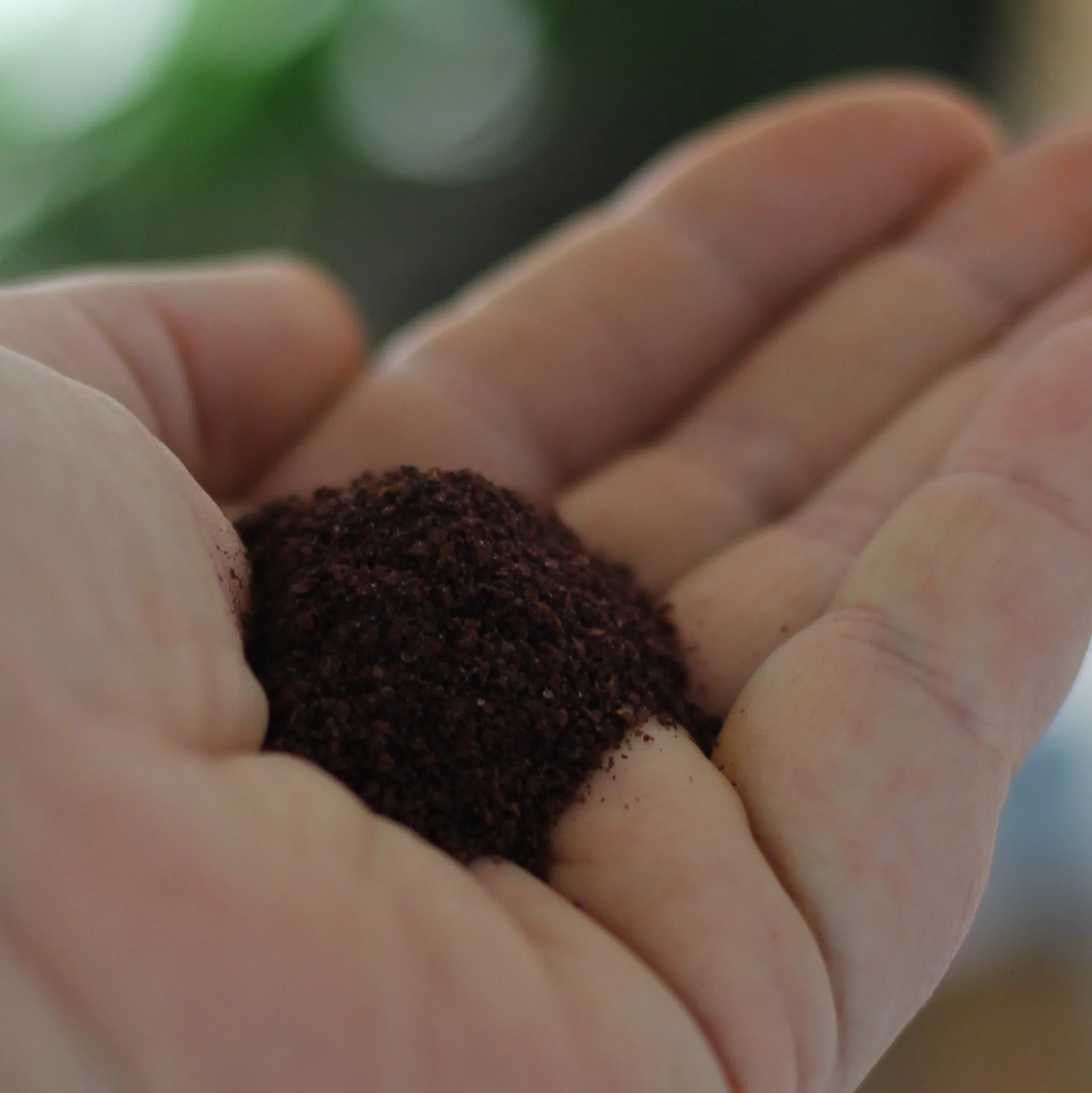 Gourmet Organic Sumac Ground 30g, Certified Organic - Image 3