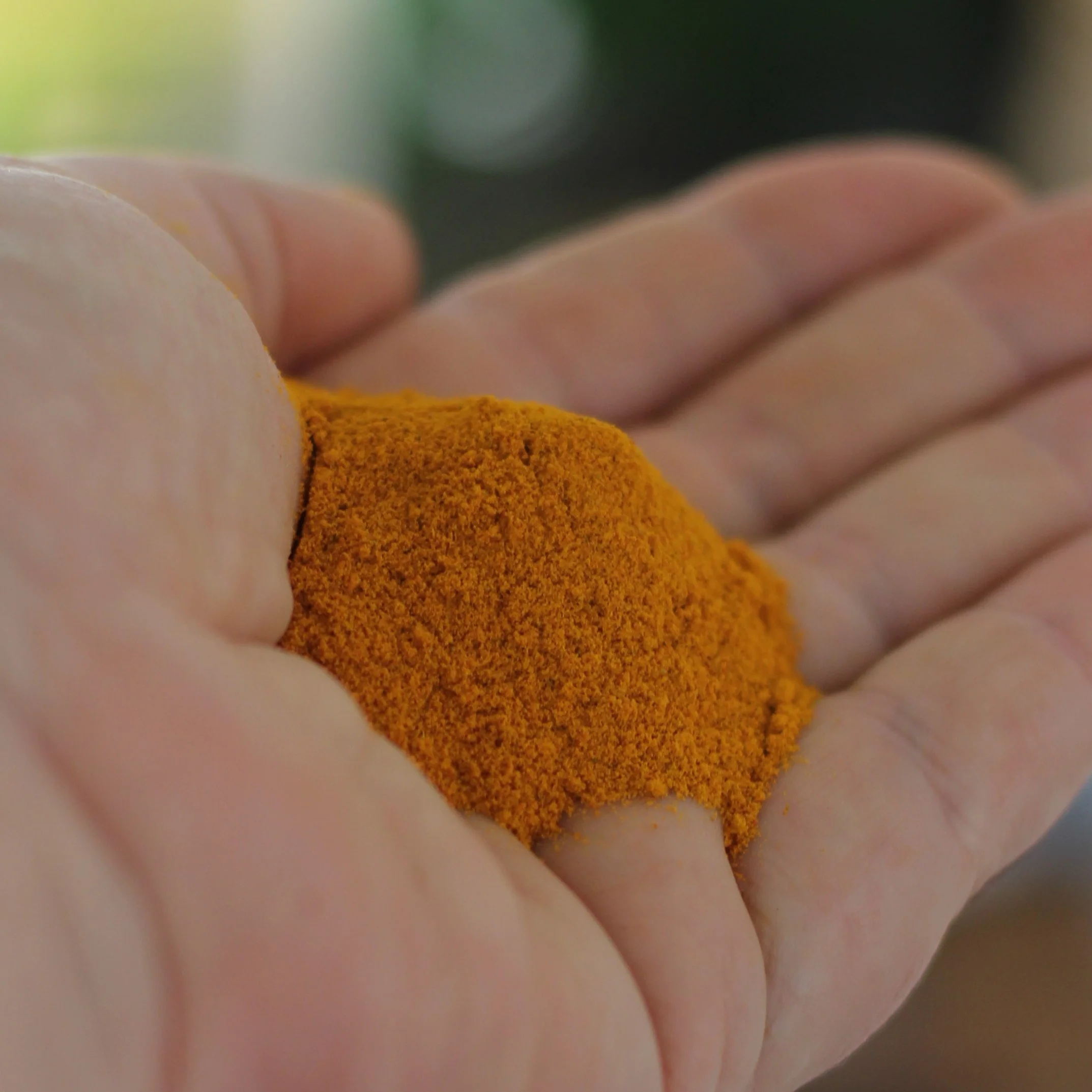 Gourmet Organic Turmeric 40g, Certified Organic - Image 3