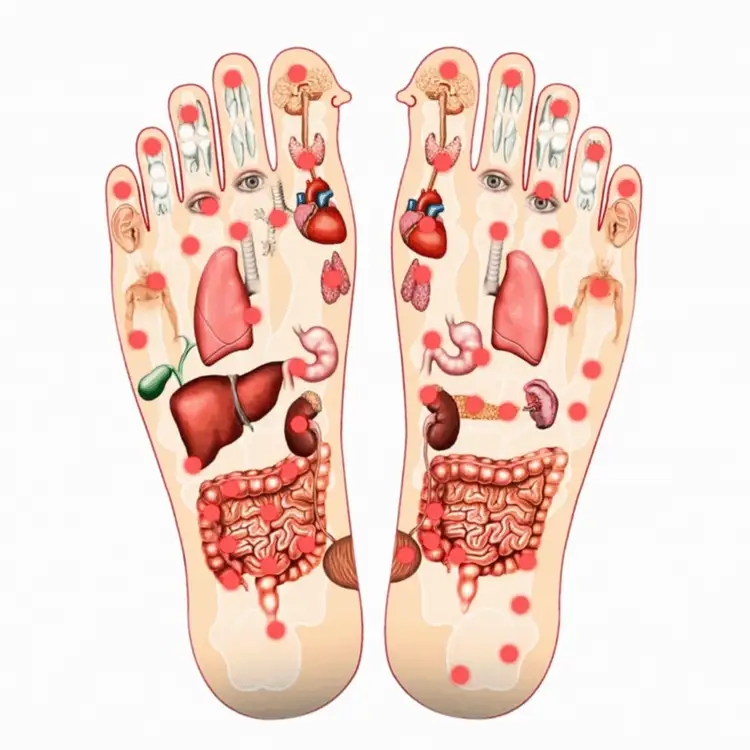 Healthy Bod. Co Detox Foot Patches, 5 Day Detox Support Bamboo Cleanse