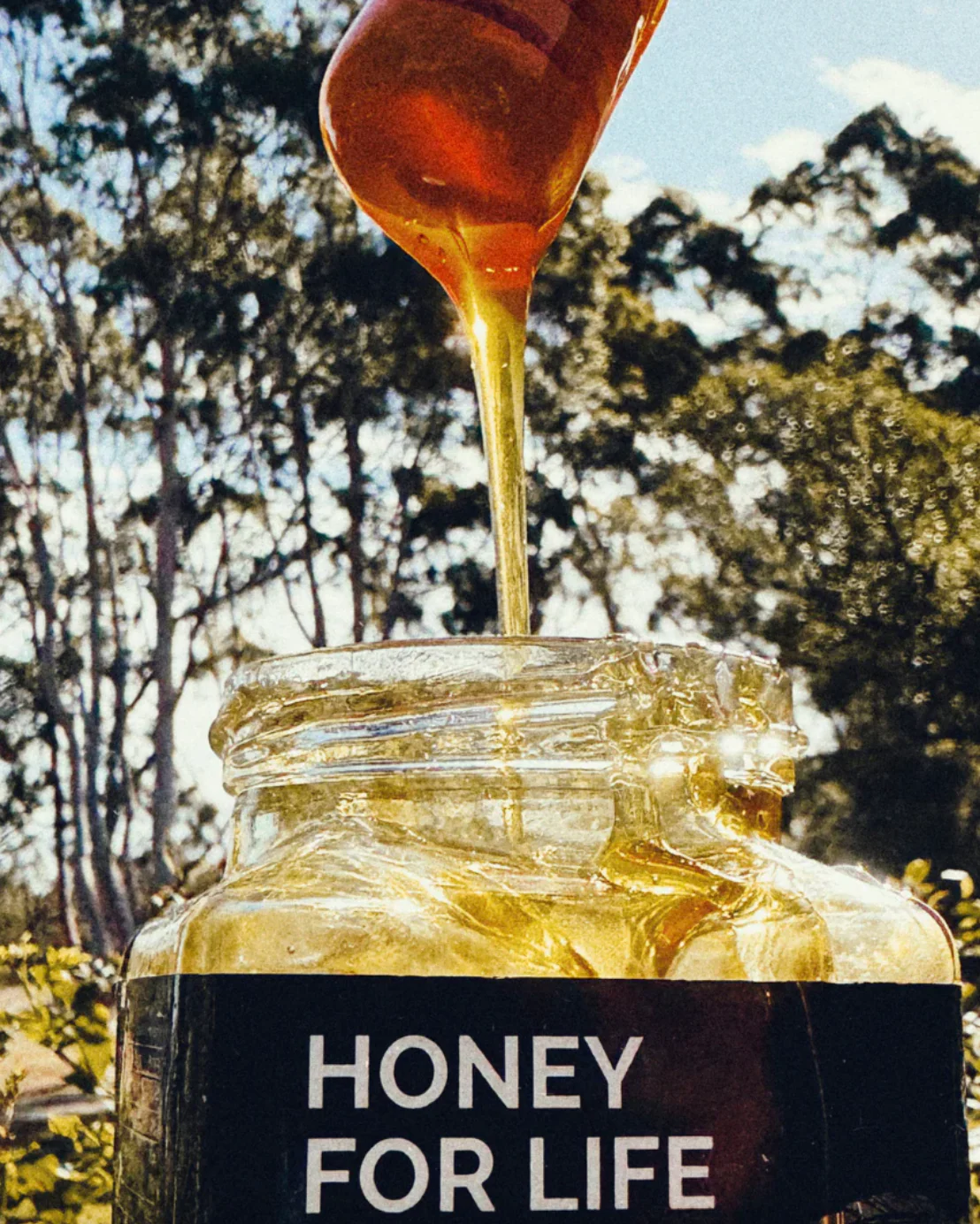 Honey For Life Jarrah Active Honey TA35+ 260g, High Antibacterial Strength - Image 3