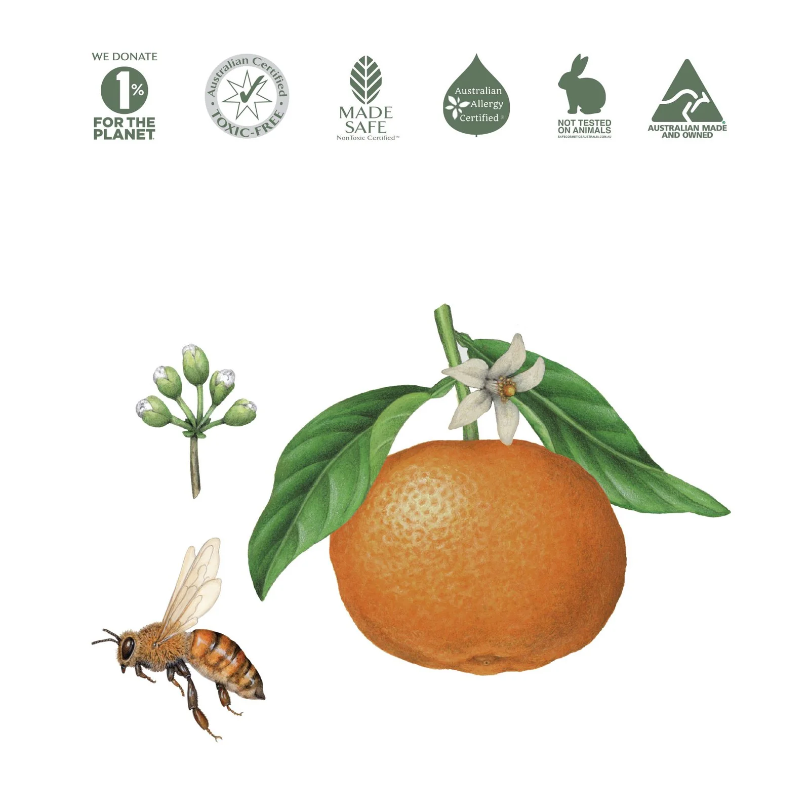 Koala Eco Natural Fruit & Vegetable Wash 500ml, Mandarin Essential Oil - Image 2