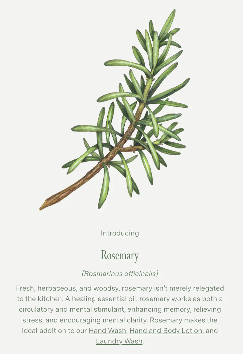Koala Eco Gift Collection Hand Care 2Pack, Lemon Eucalyptus & Rosemary Essential Oil - Image 4