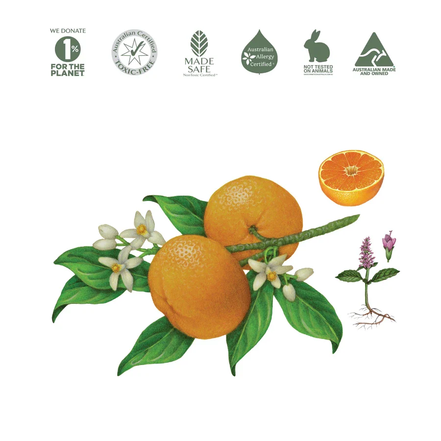 Koala Eco Natural Floor Cleaner 500ml Or 1L, Mandarin & Peppermint - Image 3