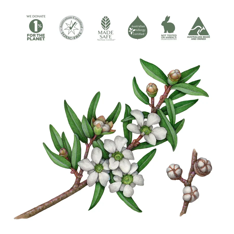 Koala Eco Natural Hand Sanitiser 500ml, Tea Tree Leaf Essential Oil - Image 2