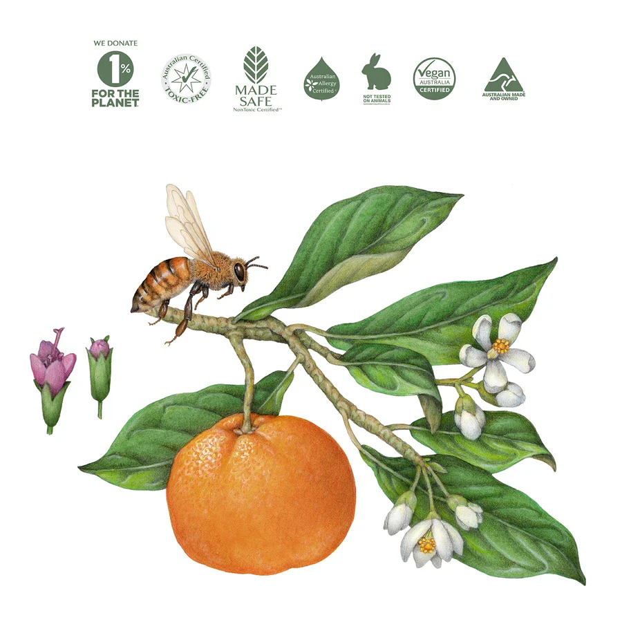 Koala Eco Natural Laundry Wash 1L, Mandarin & Peppermint Fragrance - Image 2
