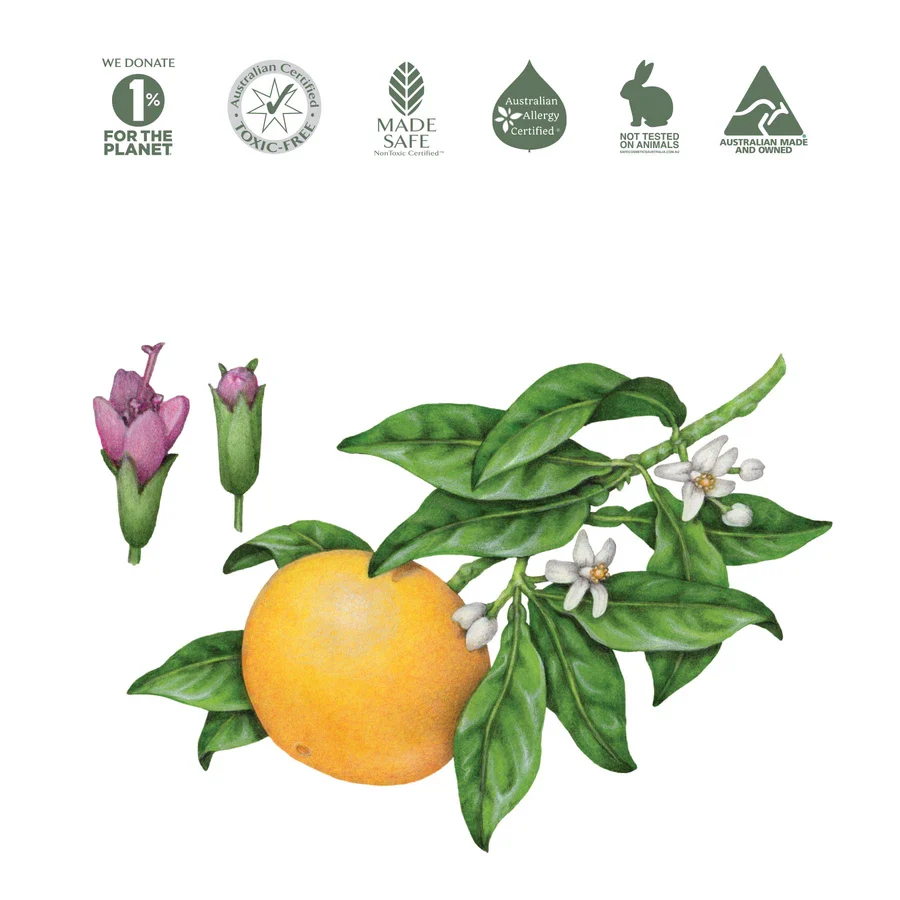 Koala Eco Natural Room Spray 250mL, Australian Pink Grapefruit & Peppermint Essential Oil - Image 2