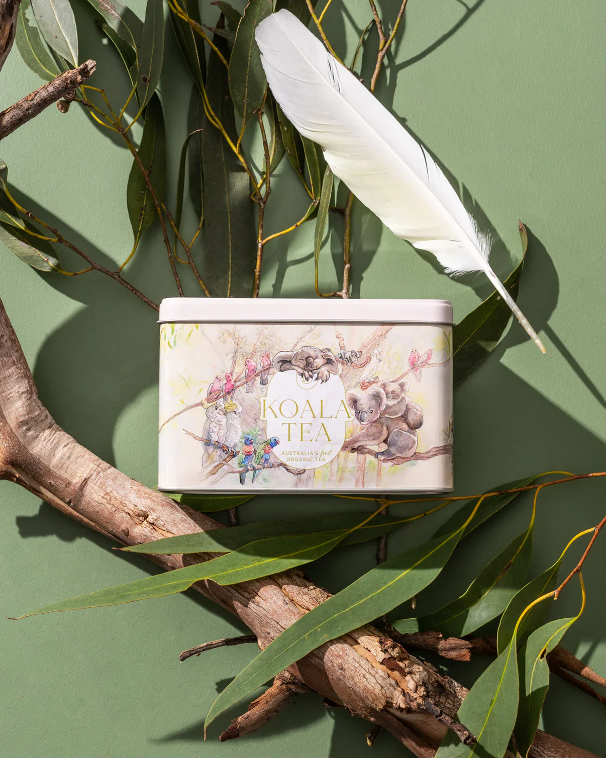 Koala Tea Certified Organic Byron Bay Gift Pack 25 Bags, A Taste Of Australia - Image 2