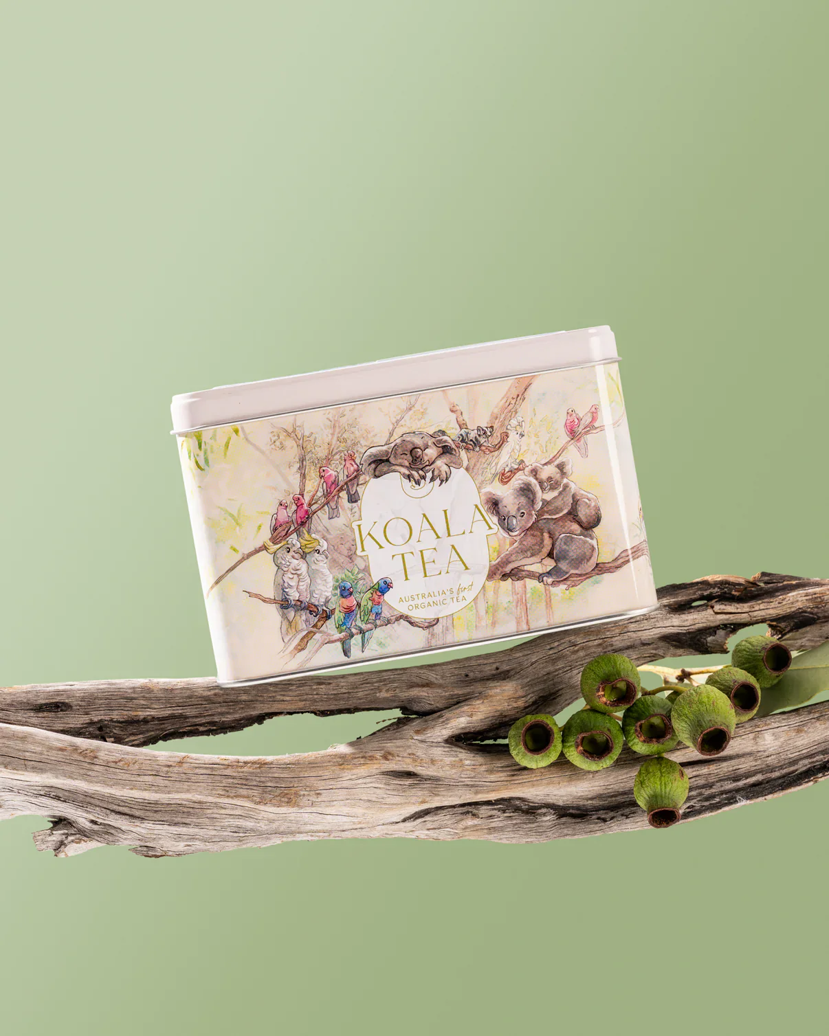 Koala Tea Certified Organic Byron Bay Gift Pack 25 Bags, A Taste Of Australia - Image 4