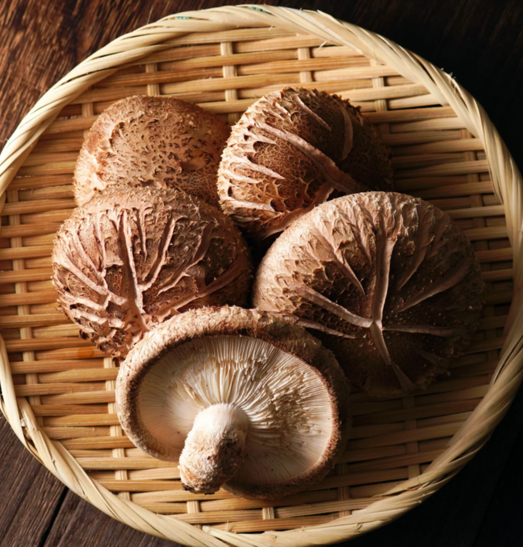 Life Cykel Double Extract Shiitake+ 60mL Or 120mL, 99% Australian Ingredients - Image 3