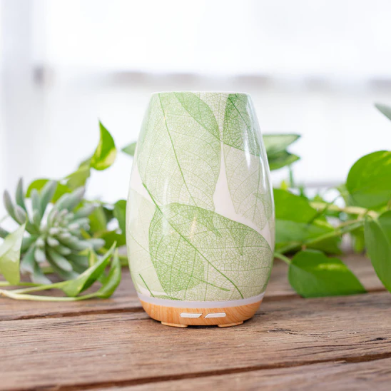 Lively Living Diffuser Aroma Fern - Image 2